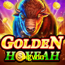 A Experiência Imersiva dos Cassinos Ao Vivo no bigwin